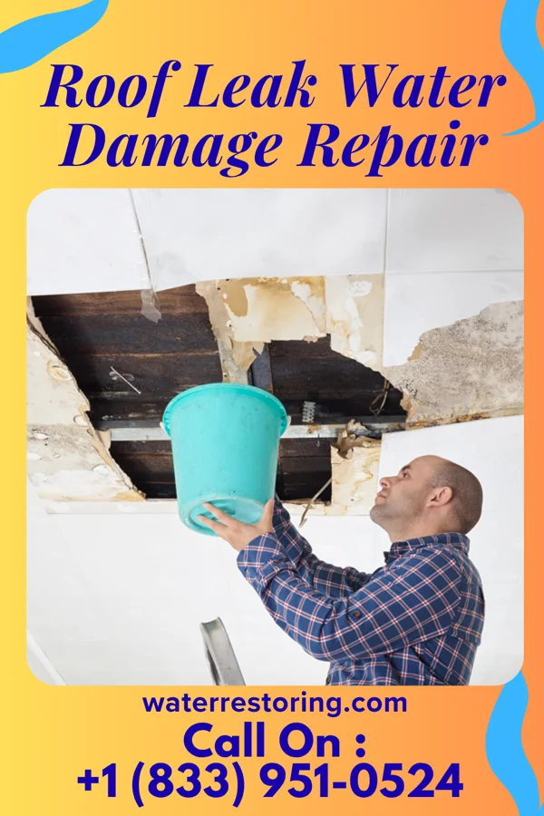 Roof Leak Water Damage Repair in Rosa, AL